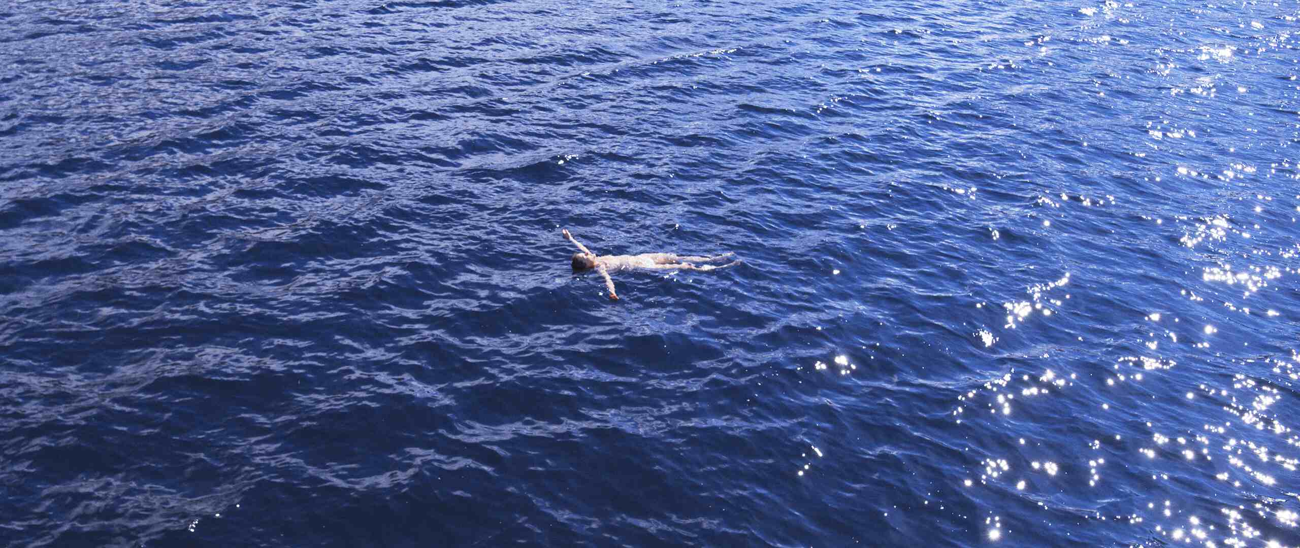 Hintergrundbild zu „Cast & Crew“