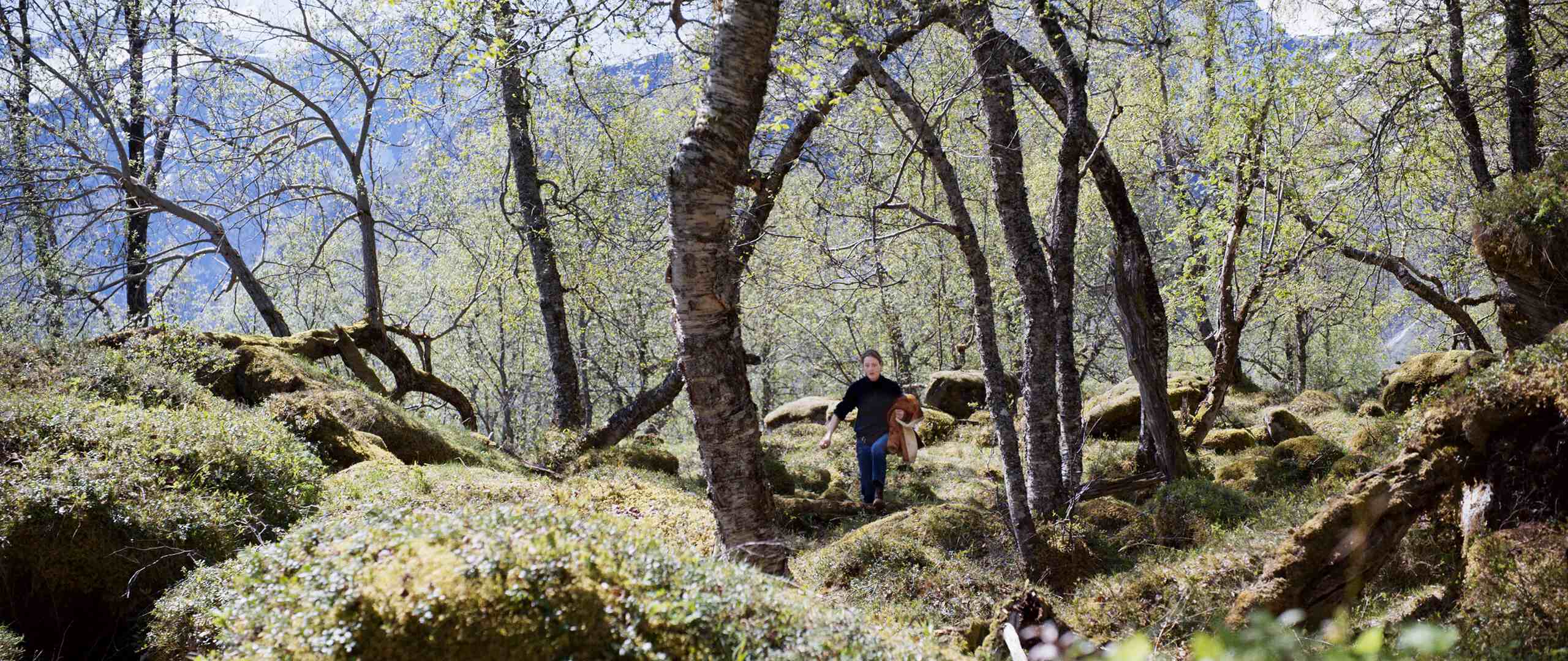 Hintergrundbild zu „Publikumsstimmen“